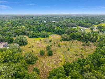 TBD HIGHWAY 301, Summerfield, FL, 34491 — photo 2