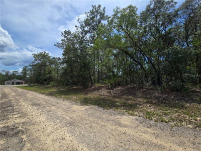 6468 BAYLOR Terrace, Dunnellon, FL, 34433 — photo 2