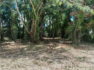tbd 48TH Street, Williston, FL, 32696 — photo 2