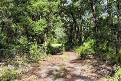 0000 COUNTY ROAD 347, Chiefland, FL, 32626 — photo 2