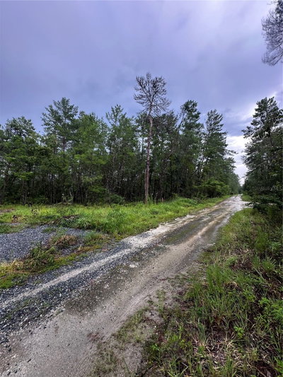 NE 112TH CT, Fort Mc Coy, FL, 32134 — photo 2