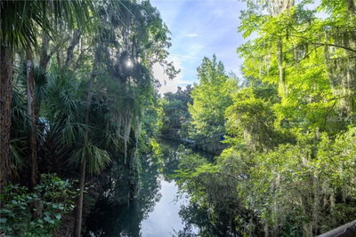 TBD 303RD Court, Salt Springs, FL, 32134 — photo 2