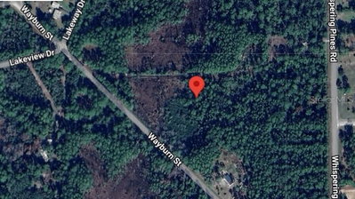 116 WAYBURN Street, Georgetown, FL, 32139 — photo 2