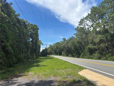 180TH AVE, Ocklawaha, FL, 32179 — photo 2