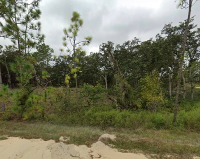 TBD 148 Avenue, Williston, FL, 32696 — photo 2