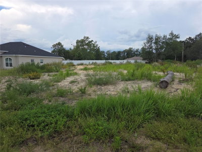 Lot 32 SPRUCE PASS, Ocala, FL, 34472 — photo 2