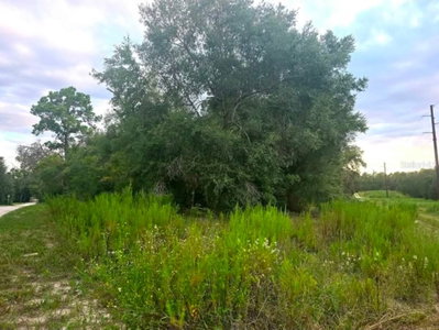 TBD SAN ANGELO Parkway, Dunnellon, FL, 34432 — photo 2