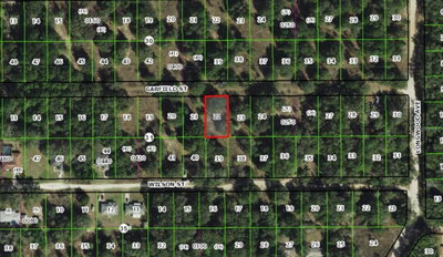 2303 GARFIELD Street, Inverness, FL, 34453 — photo 2
