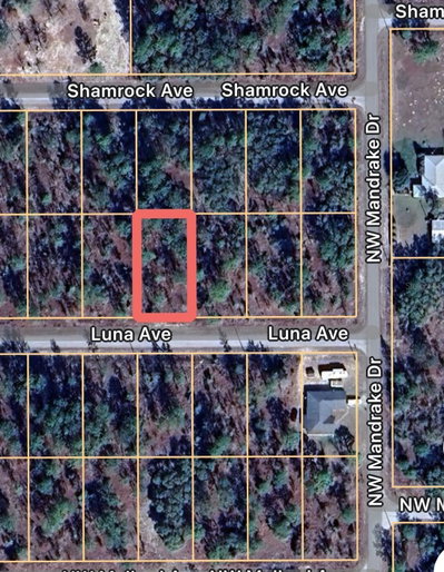 LUNA Avenue, Dunnellon, FL, 34431 — photo 2