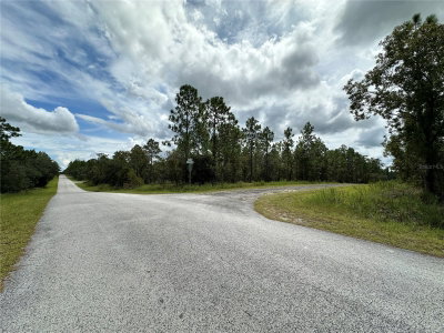TBD 105TH Lane, Dunnellon, FL, 34431 — photo 2