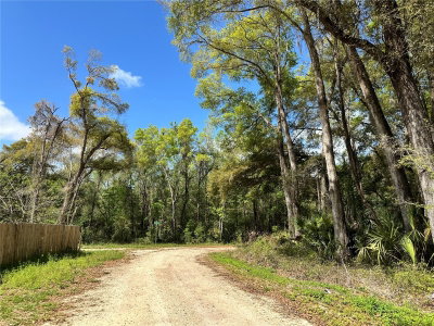 TBD 5TH Lane, Ocala, FL, 34481 — photo 2