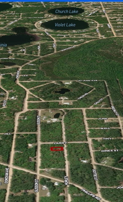 LOT 2 HURLEY Street, Interlachen, FL, 32148 — photo 2