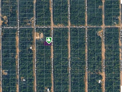 LOT 33 NEISMAN Avenue, Interlachen, FL, 32148 — photo 2
