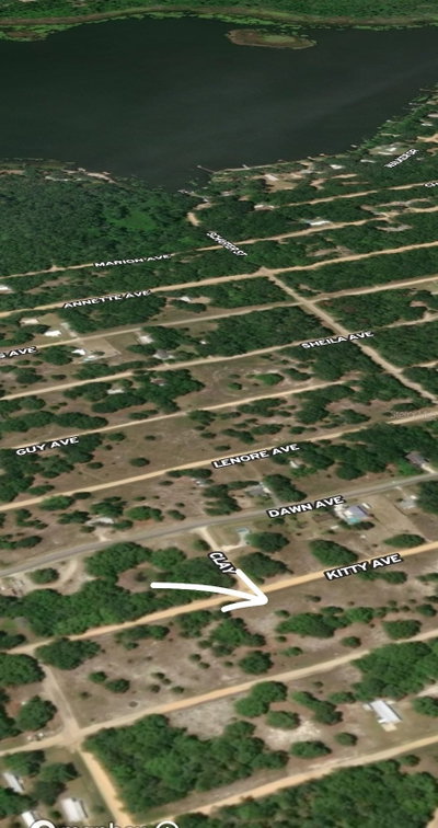 LOT 8 KITTY AVE, Interlachen, FL, 32148 — photo 2