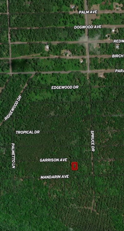 131 GARRISON Avenue, Georgetown, FL, 32139 — photo 2