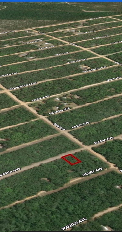 LOT 20 GLORIA Avenue, Interlachen, FL, 32148 — photo 2