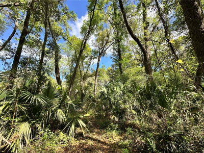 tbd 5TH Lane, Ocala, FL, 34481 — photo 2
