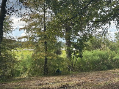 6661 TURNER CAMP Road, Inverness, FL, 34453 — photo 2