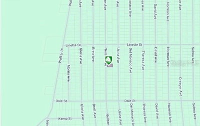 LOT 7 NEILSEN Avenue, Interlachen, FL, 32148 — photo 2