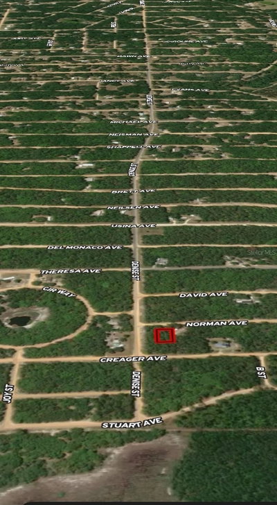 LOT 16 NORMAN Avenue, Interlachen, FL, 32148 — photo 2