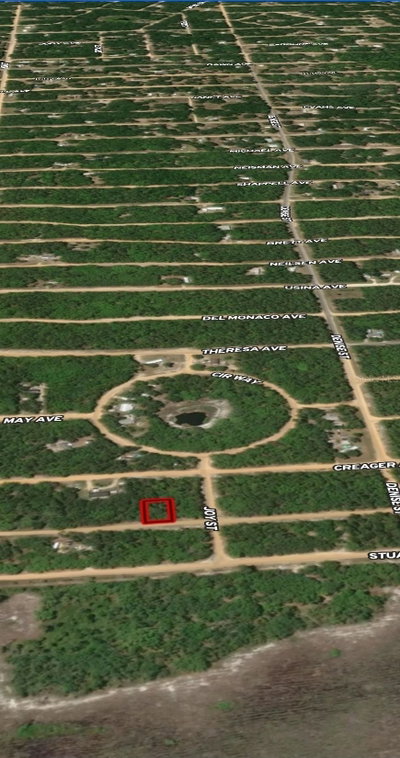 LOT 19 SELMA Avenue, Interlachen, FL, 32148 — photo 2