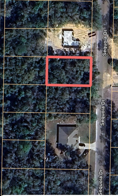 SEQUOIA Drive, Ocklawaha, FL, 32179 — photo 2