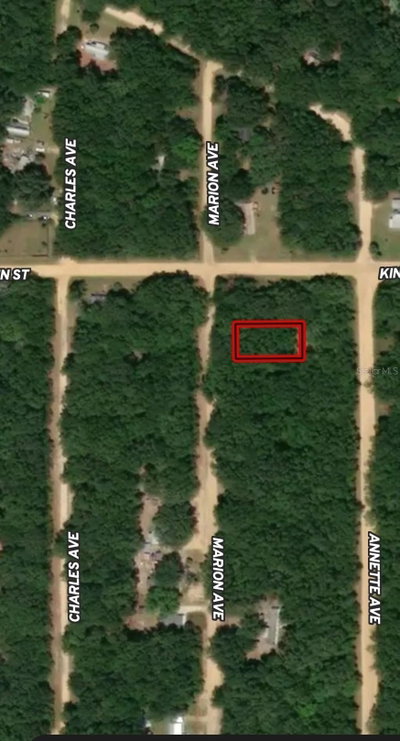 LOT 2 MARION Avenue, Interlachen, FL, 32148 — photo 2