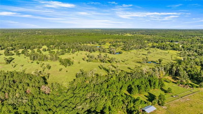 17748 HWY 329, Reddick, FL, 32686 — photo 2