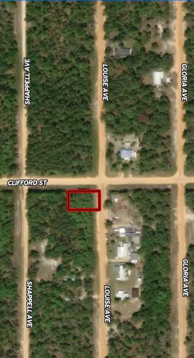 LOT 36 LOUISE Avenue, Interlachen, FL, 32148 — photo 2