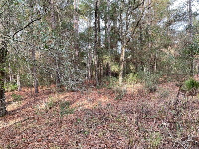 LOT 9 152ND Avenue, Ocala, FL, 34481 — photo 2