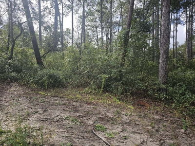 92ND Place, Ocklawaha, FL, 32179 — photo 2