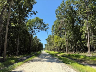 DR #5 (24ac) 193RD ST, Micanopy, FL, 32667 — photo 2