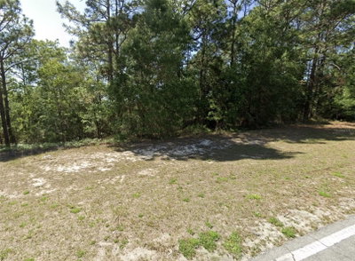 7868 ELKCAM BLVD, Citrus Springs, FL, 34433 — photo 2