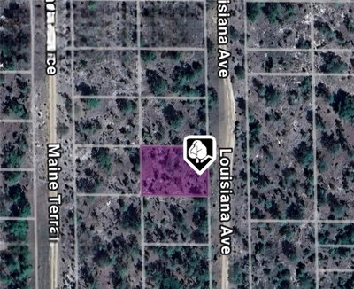 LOT 19 AND 20 LOUISIANA Avenue, Hawthorne, FL, 32640 — photo 2