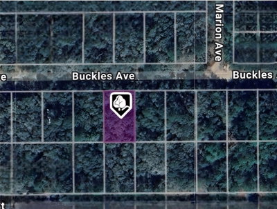 LOT 8 BUCKLES Avenue, Interlachen, FL, 32148 — photo 2