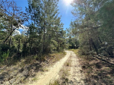 TBD 138TH Avenue, Williston, FL, 32696 — photo 2