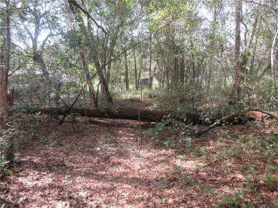 171ST Court, Silver Springs, FL, 34488 — photo 2