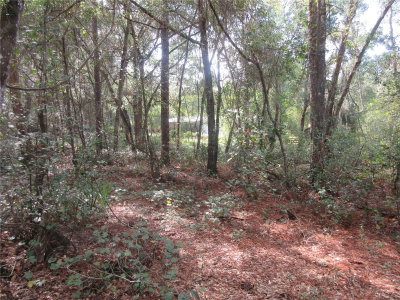 171ST Court, Silver Springs, FL, 34488 — photo 2