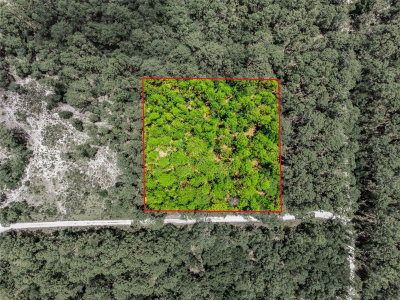 Lot 02 175TH Terrace, Dunnellon, FL, 34432 — photo 2
