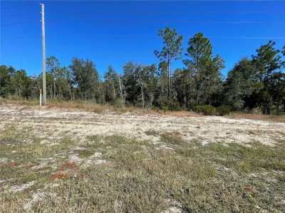 TBD HIGHWAY 27 ALT, Bronson, FL, 32621 — photo 2