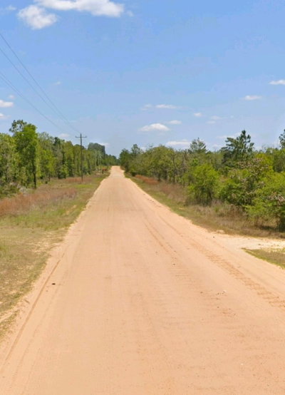 LOT 14 15 16 AN IDAHO Avenue, Hawthorne, FL, 32640 — photo 2