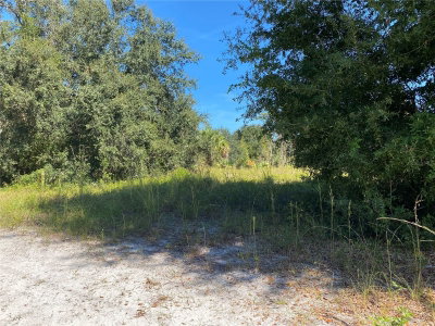 xxxx 3RD CT, Citra, FL, 32113 — photo 2