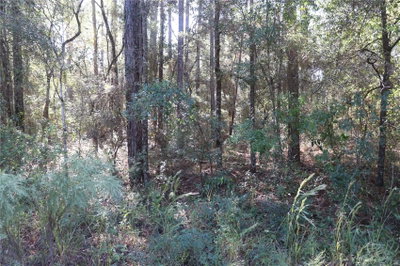 00 39 Street, Dunnellon, FL, 34432 — photo 2