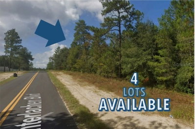 104 INTERLACHEN Boulevard, Interlachen, FL, 32148 — photo 2