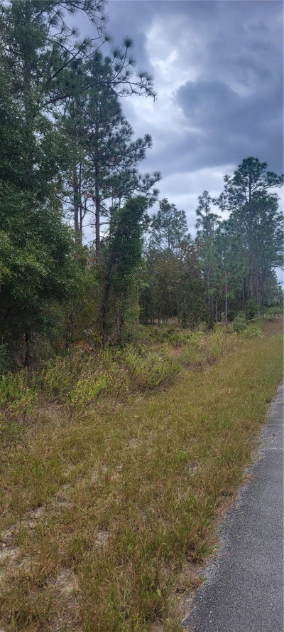 ARROW LEAF Trail, Dunnellon, FL, 34431 — photo 2