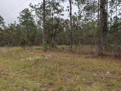lot 13 GERANIUM Avenue, Dunnellon, FL, 34431 — photo 2
