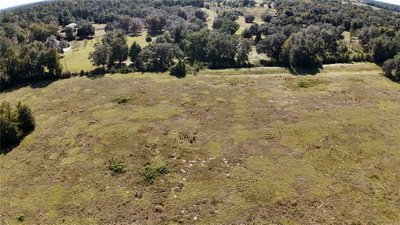 54TH Loop, Ocala, FL, 34482 — photo 2
