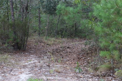 9478 TIMBER CREEK Terrace, Dunnellon, FL, 34433 — photo 2