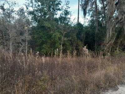 1531 123RD Avenue, Williston, FL, 32696 — photo 2