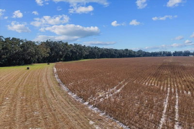 TBD 150 Street, Trenton, FL, 32693 — photo 2